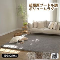 展示品】プレーベル 「HELMUT」 ウィルトン織 ラグ 200×250cm - メルカリ