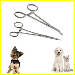 Item thumbnail for item 33654a51-be8d-4048-999b-eeff7d79bf31