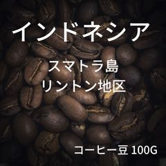 【インドネシア スマトラ島 リントン地区 マンデリン】コーヒー豆 100g ミディアムロースト