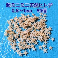 超ミニミニヒトデ　0.5〜1cm　50個