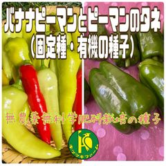 バナナピーマンとピーマンのタネ　各20粒　固定種・無農薬無化学肥料栽培のタネ