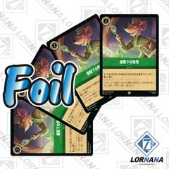 ロルカナ 野獣 2枚セット らくらくメルカリ便 2025年最新】野獣