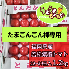 【数量限定品】福岡県産　若松濃縮トマト　1.2kg（22～30玉） 濃縮トマト　若松トマト　トマト