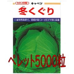 カネコ種苗　冬くぐりキャベツ　ペレット５０００粒