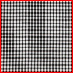 ク ー ポ ン 有☆彡ギンガムチェック3ｍｍ 生地 KIYOHARA 約110cm巾×1mカット Col.BK ブラック G1001-1