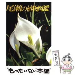 2024年最新】新井幸人 尾瀬の人気アイテム - メルカリ