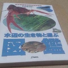 水辺の生き物と遊ぶ図鑑: みんな地球の仲間たち (アウトドアガイドシリーズ)