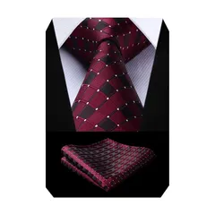 [Enlision] 赤 ネクタイ ポケットチーフ メンズ フォーマル ネクタイ チェック柄 ビジネス ネクタイ ブランド