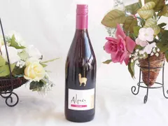 チリワインサンタ ヘレナ アルパカ ピノ ノワール ミディアムボディ赤ワイン 750ml×1本