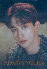 [중고] 식완 스티커 씰 도겸 레어 씰 [SVT 웨이퍼스 From PLEDIS ENTERTAINMENT SEVENTEEN]