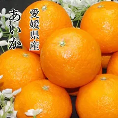 2025年最新】紅まどんな 10kgの人気アイテム - メルカリ