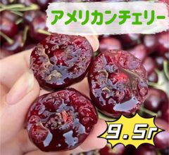 ラスト入荷‼️全国一律料金‼️ プレミアムチェリー　ワシントン産　ダークチェリーアメリカンチェリー　シーズン最初　箱込み1kg