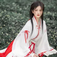 漢服 レディース 中華服 宮廷  パーティードレス コスプレ衣装 仮装 ファッションレディース ドレス 女性 唐装 古風 振袖 引き裾 広い袖 刺繍 園祭  かっこいい 文化際 写真撮影 舞台 レトロ 3点セット 大袖シャツ