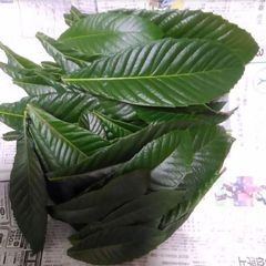完全無農薬　枇杷の葉　200g