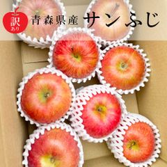 【新物訳あり】青森県産りんご（サンふじ）8玉（小玉）【北海道～関東・信越エリア限定】