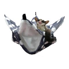 Item thumbnail for item 7ac80d95-be60-4055-a301-3ba8681c5945