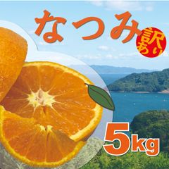【訳あり】なつみ5kg