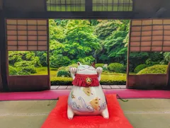 2025年最新】猫舎道楽堂本舗 招き猫の人気アイテム - メルカリ