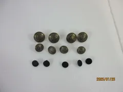 大学生　学生服　ボタン　セット13個