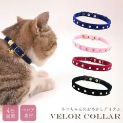 【在庫限り】ペット用 猫 首輪 ベロア 鈴あり ベルト式 シンプル 全4カラー ワンちゃん プレゼント 小型犬用 犬 猫 CAT キャット ミニサイズ わんちゃん用 猫ちゃん用 小型犬 おさんぽ おでかけ お出掛け おしゃれ コンパクト 愛犬とお散歩 旅行用のサムネイル