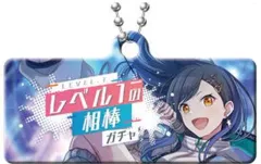 【中古】キーホルダー レベル1の相棒ガチャ 「プロジェクトセカイ カラフルステージ! feat.初音ミク カプセルメタルバナー キーチェーンコレクション Vol.2」
