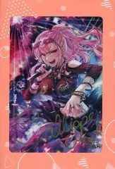 グッズセット　[通常特典付き] 森カリオペ 誕生日記念フルセット 「バーチャルYouTuber ホロライブEnglish 森カリオペ 誕生日記念2023」 2025年最新】森カリオペ 誕生日記念2023 誕生日記念フルセットの