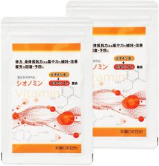 ビタミン含有保健剤 シオノミン 30錠　×2袋セット