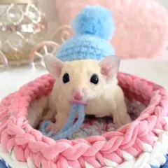 あゆ様専用おまとめ ドライピーチ20ｇ＆マシュマロ25ｇ