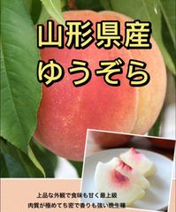 クール便発送❗️山形県産　ゆうぞら　 白桃　桃　もも　モモ
