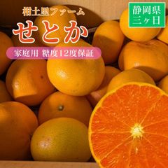 柑橘  【柑土里ファーム】 せとか 1.8kg 家庭用 糖度12度保証 静岡県三ケ日