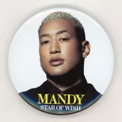 【中古】バッジ・ピンズ(男性) 関口メンディー フォト缶バッジ 「EXILE LIVE TOUR 2018-2019“STAR OF WISH”」 会場限定カプセル景品