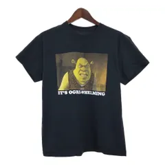 シュレック　Tシャツ オフィシャル　半袖 ヴィンテージ　古着 古着 SHReK Tシャツ キャラ シュレック センターロゴ 輸入品