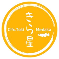 きら星