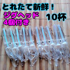 オススメ！とれたて新鮮！イカワーム10杯+ダートジグヘッド21g、14g各2本