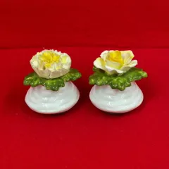 AYNSLEY　エインズレイ　陶花　ソルト＆ペッパー　置物　2個セット　　N-3のサムネイル
