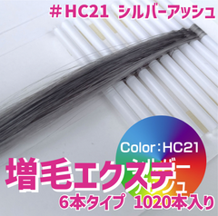 増毛 エクステ 35cm ＃HC21 シルバーアッシュ  [ 1本の髪の毛に6本の毛を取り付けるタイプ × 170ループ ]  1,020本入り