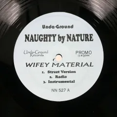 NAUGHTY BY NATURE/WIFEY MATERIAL/UNDA'GROUND NN527 12