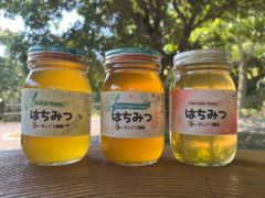 はちみつ 600g×3瓶 蜂蜜 ハチミツ  国産