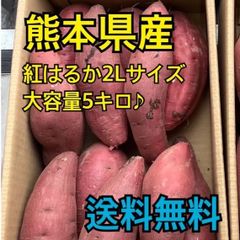 熊本県産　紅はるか×5キロ　品質秀品　2Lサイズ (長)