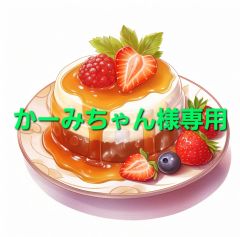 かーみちゃん様専用
