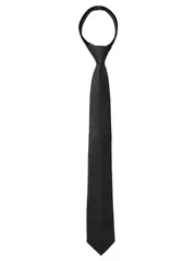 Allegra K メンズネクタイナローネクタイフラットストライプ調節可能なジッパーカジュアルビジネスネクタイ ブラック 6 cm