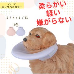 Item thumbnail for item 82c9bb22-a3c1-4581-bd49-446ee7057aa0