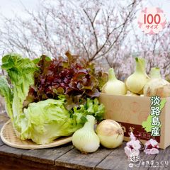 極早生新たまねぎとレタスのお引越し　-100サイズ-