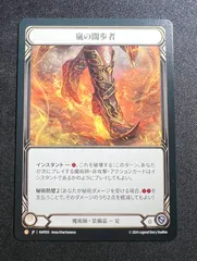 fab 嵐の闊歩者 fab 嵐の闊歩者 Storm Striders Storm Striders | eBay