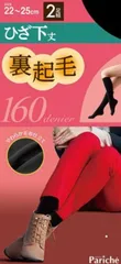 裏起毛膝下 2足組 ひざ下タイツ 黒 ブラック ショート丈 暖か 160デニール レディース プレゼント セール SALE 柔らか 美脚ソックス 外出 冬 靴下 ハイソックス