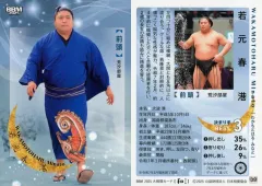 2025年最新】若元春 相撲の人気アイテム - メルカリ