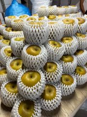 高品質 梨(山梨)国産受粉用花粉 発芽率80％以上 約20g - メルカリ