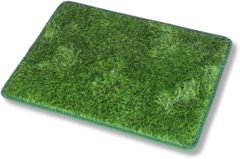 Item thumbnail for item 1c464579-f170-4473-8c55-1e1729380740