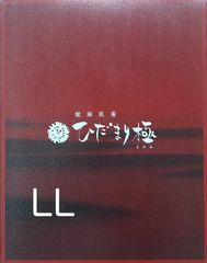 ひだまり健康肌着婦人☀️寒いこの季節にピッタリ！送料込み価格！最強の防寒肌着！