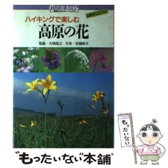 2024年最新】夏梅陸夫の人気アイテム - メルカリ